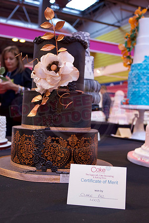 Cake International Cake Entries and Merit Winners