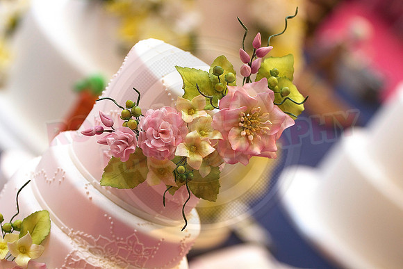Cake International Cake Entries and Merit Winners