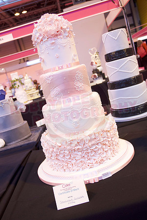 Cake International Cake Entries and Merit Winners
