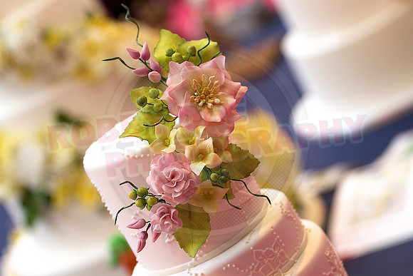 Cake International Cake Entries and Merit Winners
