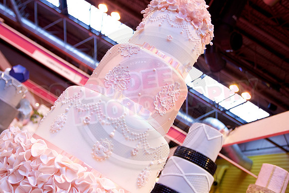 Cake International Cake Entries and Merit Winners