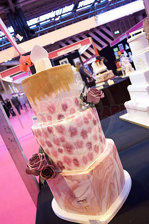 Cake International Cake Entries and Merit Winners