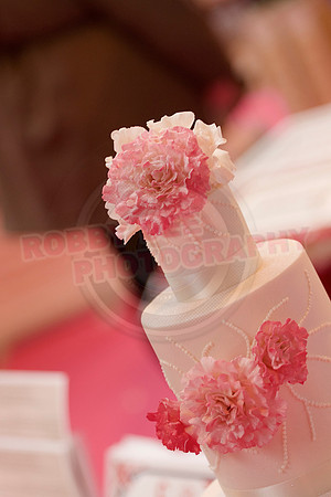 Cake International Cake Entries and Merit Winners
