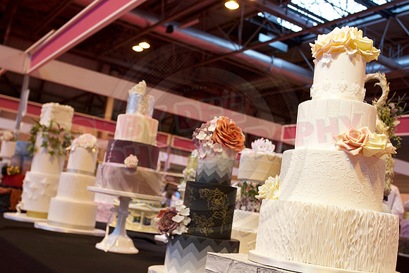 Cake International Cake Entries and Merit Winners