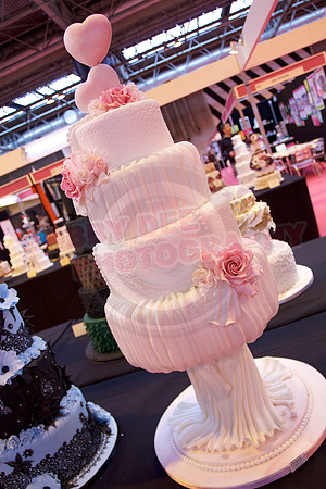 Cake International Cake Entries and Merit Winners
