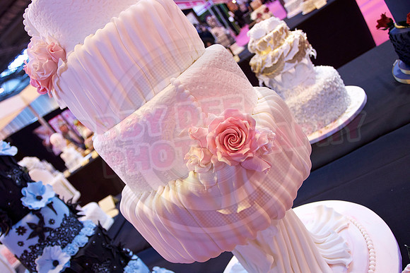 Cake International Cake Entries and Merit Winners