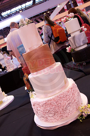 Cake International Cake Entries and Merit Winners