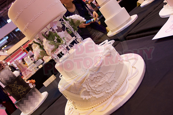 Cake International Cake Entries and Merit Winners