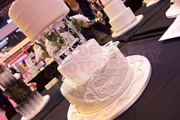 Cake International Cake Entries and Merit Winners