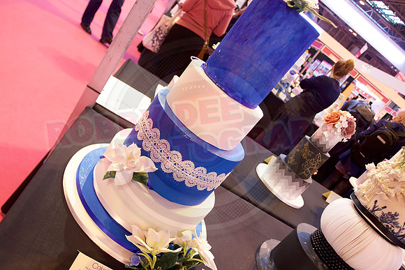Cake International Cake Entries and Merit Winners