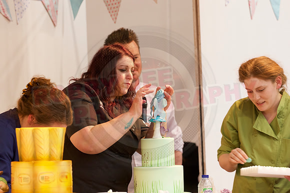 Cake International Cake Off Alexandra Palace 2073