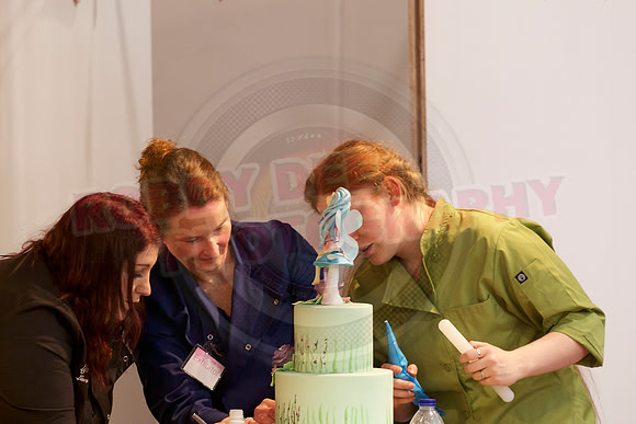 Cake International Cake Off Alexandra Palace 2078