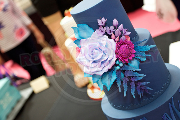 Cake International Rosette Winners