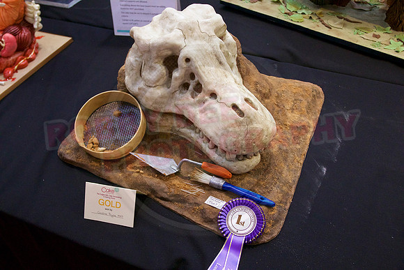 Cake International Rosette Winners