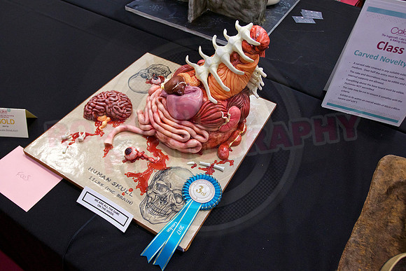 Cake International Rosette Winners