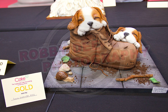 Cake International Rosette Winners