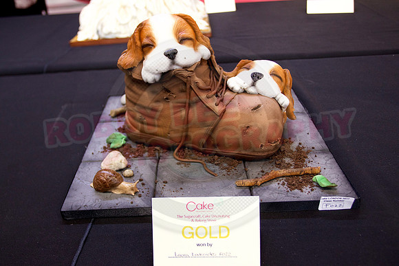Cake International Rosette Winners