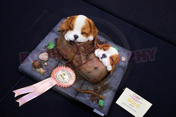 Cake International Rosette Winners