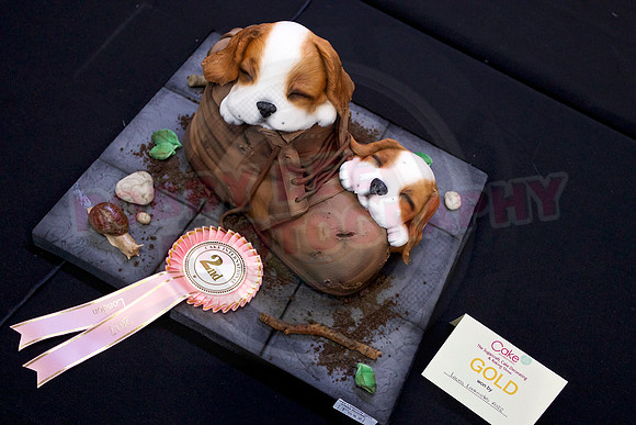 Cake International Rosette Winners