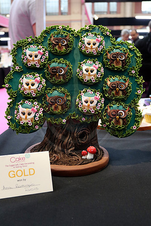 Cake International Rosette Winners