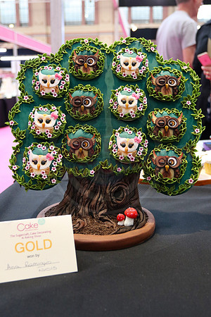 Cake International Rosette Winners