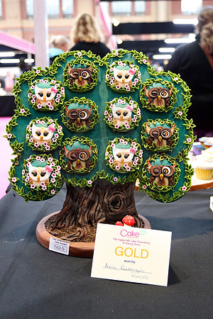 Cake International Rosette Winners