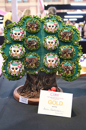 Cake International Rosette Winners