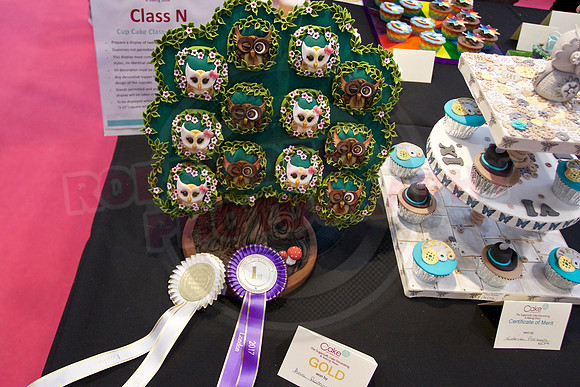 Cake International Rosette Winners