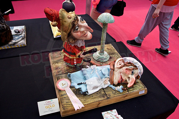 Cake International Rosette Winners