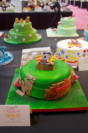 Cake International Rosette Winners