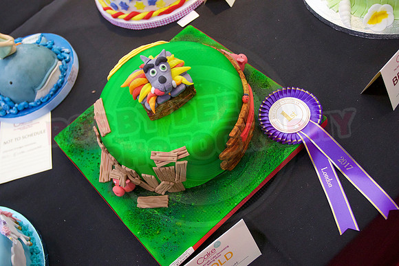 Cake International Rosette Winners