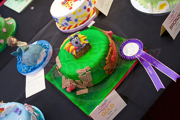 Cake International Rosette Winners