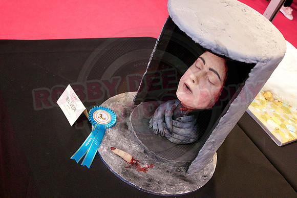 Cake International Rosette Winners