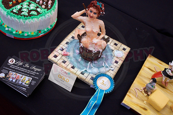 Cake International Rosette Winners
