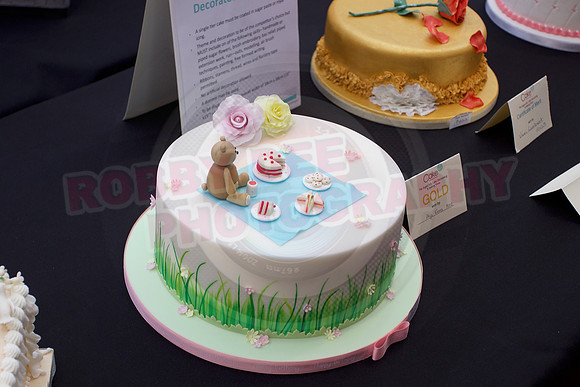 Cake International Rosette Winners