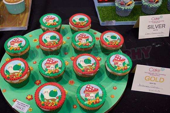Cake International Rosette Winners