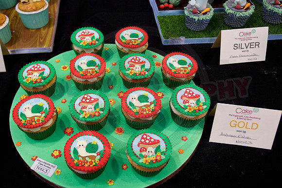 Cake International Rosette Winners