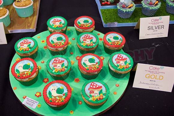 Cake International Rosette Winners