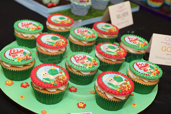 Cake International Rosette Winners