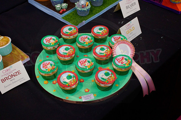 Cake International Rosette Winners