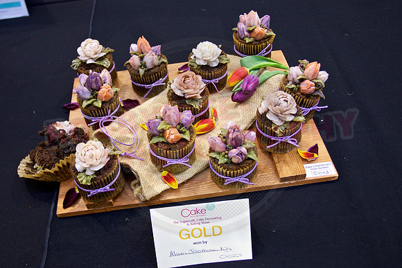 Cake International Rosette Winners