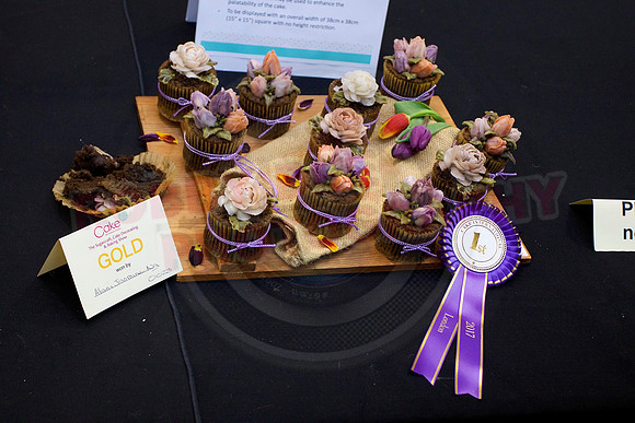 Cake International Rosette Winners