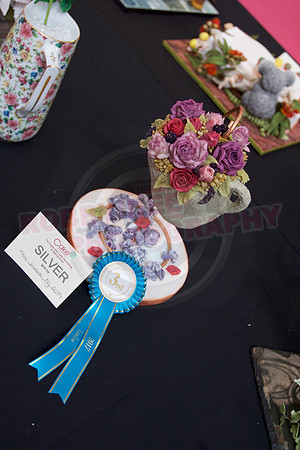 Cake International Rosette Winners