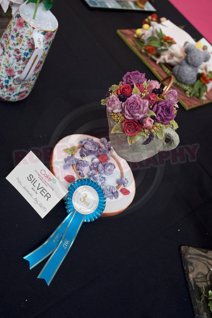 Cake International Rosette Winners