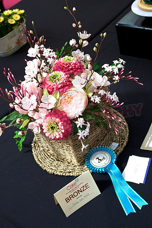Cake International Rosette Winners