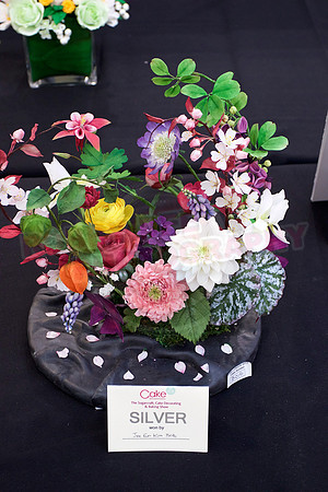 Cake International Rosette Winners