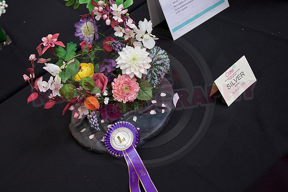 Cake International Rosette Winners