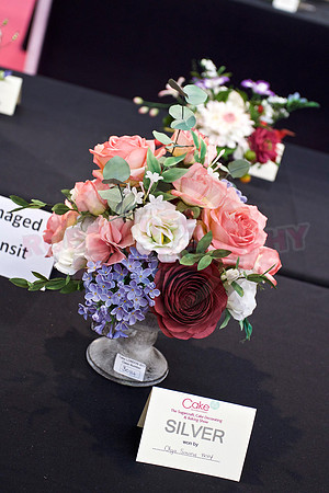 Cake International Rosette Winners