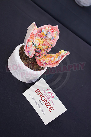 Cake International Rosette Winners