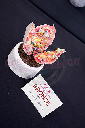 Cake International Rosette Winners